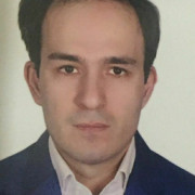 محسن سلیمانی